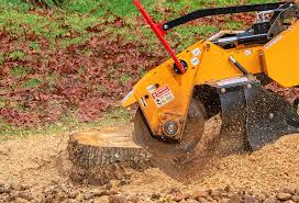 Reliable Garberville, CA Tree Care Solutions